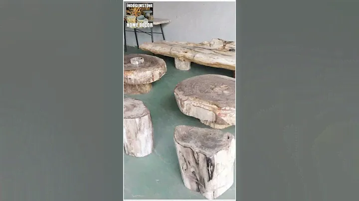 Petrified Log Coffee Table #logtable #livingroomfurniture #coffeetables #coffeetable